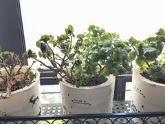 -叶老师古筝工作室(杨公桥店)