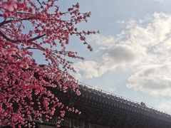 -珠海圆明新园