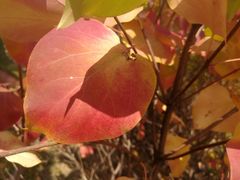 -长春公园(普阳街道)