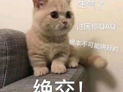 -老长沙湘菜馆(凤凰路店)