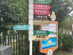 -前小桔亲子创意农场·草莓采摘·露营烧烤