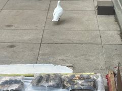 -清真·二嫂子煎饼果子(鼓楼旗舰形象店)