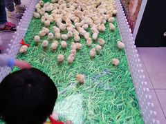 -盒马鲜生(首义店)