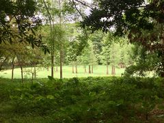 -番禺大夫山森林公园