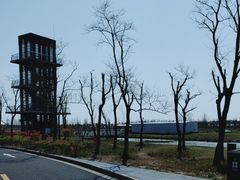 -春花秋色城市公园