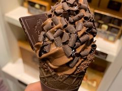 浓醇黑巧冰淇淋-GODIVA(万象城店)
