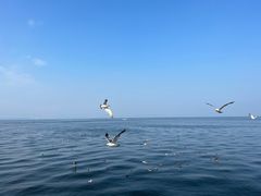 -大连海昌东方水城