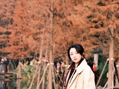 -重庆彩云湖湿地公园