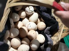 -大本营竹筒饭