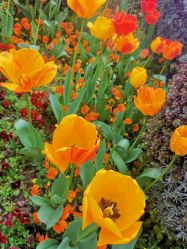 -熙画美上门MakeUp美甲美睫