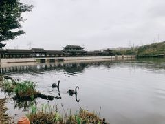 -重庆园博园