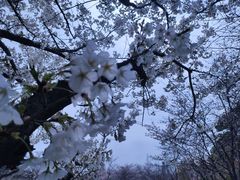 -苏州上方山国家森林公园