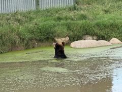 -上海野生动物园