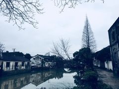 -乌镇西栅景区