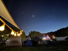 -武陵山森林公园