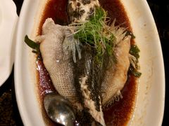 笋壳鱼-新南华大酒店(长寿店)