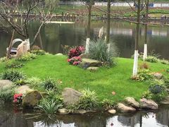-重庆彩云湖湿地公园