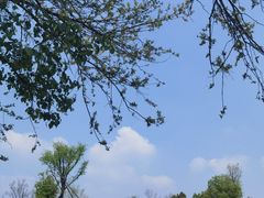 -盘龙城国家考古遗址公园