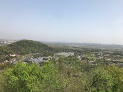 -上海佘山国家森林公园西佘山园