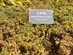 -厦门悦华酒店