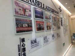 -紫琪尔·匠心连锁·胸部护理养护