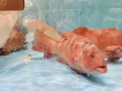 -徐记海鲜(开福寺|伍家岭店)