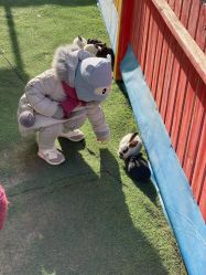 -萌宠亲子动物乐园(槐房万达店)