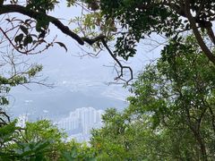 -梧桐山风景名胜区