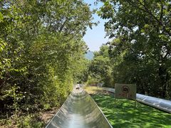 -富斯特索道
