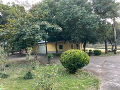 -南宁良凤江国家森林公园