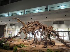 -自贡恐龙博物馆