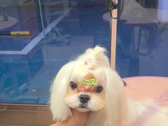 -FAELING PETS美天灵宠物(富力广场店)