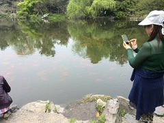 android_upload_pic-九溪烟树