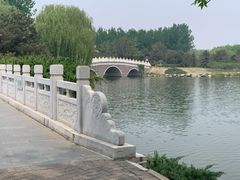 -大兴滨河森林公园