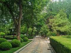 -团结湖公园