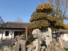 -水绘园