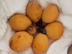 -苹果花园(金耀南路店)