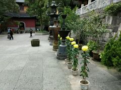 -普陀山风景名胜区-法雨禅寺