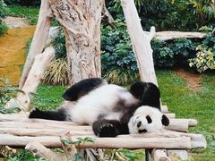 -香港海洋公园