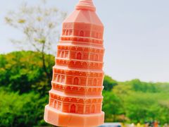-苏州上方山国家森林公园