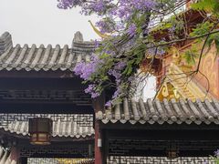 -龙潭水乡