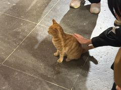 -龙华素斋(龙华路店)