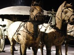 -秦始皇帝陵博物院-丽山园