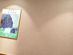 -菌之家·专业纯野生菌火锅·特色炒菌