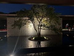 -云溪植物园