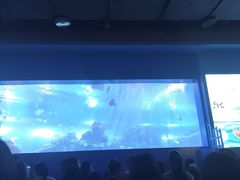 -重庆欢乐海底世界