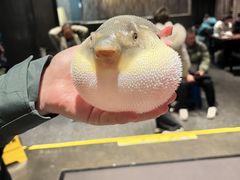 -永安鱼庄·镇江菜(东吴路店)