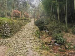 -仙霞关景区