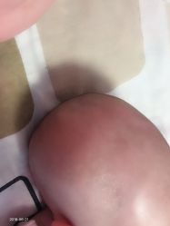-龙文宝贝上门婴儿理发满月剃胎毛(黄浦店)