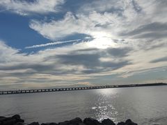 -宝安西湾红树林湿地公园